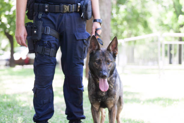 K9 Services